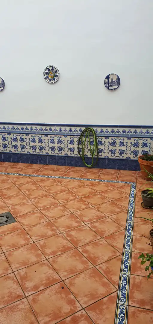 Jardín de Casa o chalet en venta en Brenes con Aire acondicionado, Jardín privado y Terraza