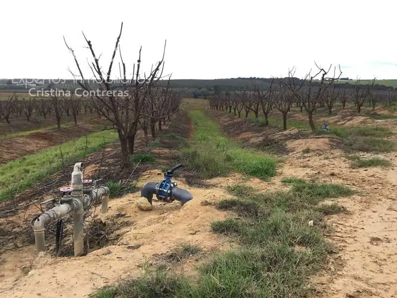 Terreno rústico en venta en Huévar del Aljarafe, imagen 23