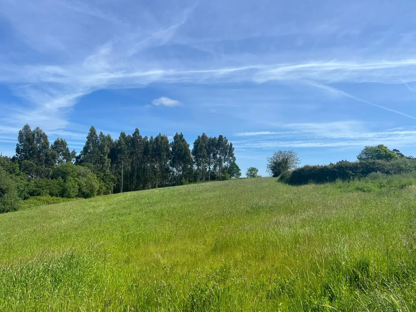 Terreno residenziale in vendita a Miño, imagen 8