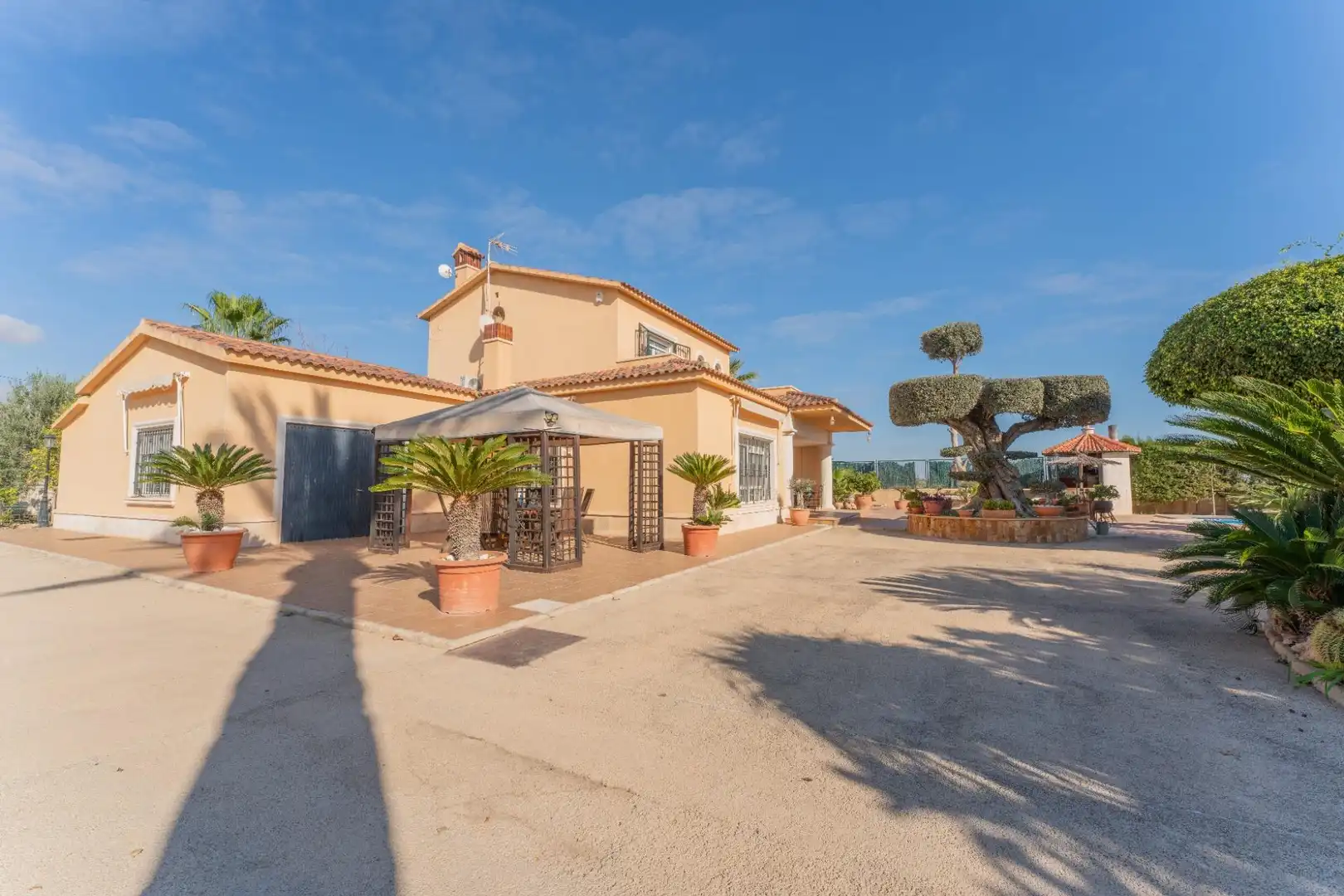 Vista exterior de Casa o chalet en venta en Elche / Elx con Trastero, Piscina y Balcón