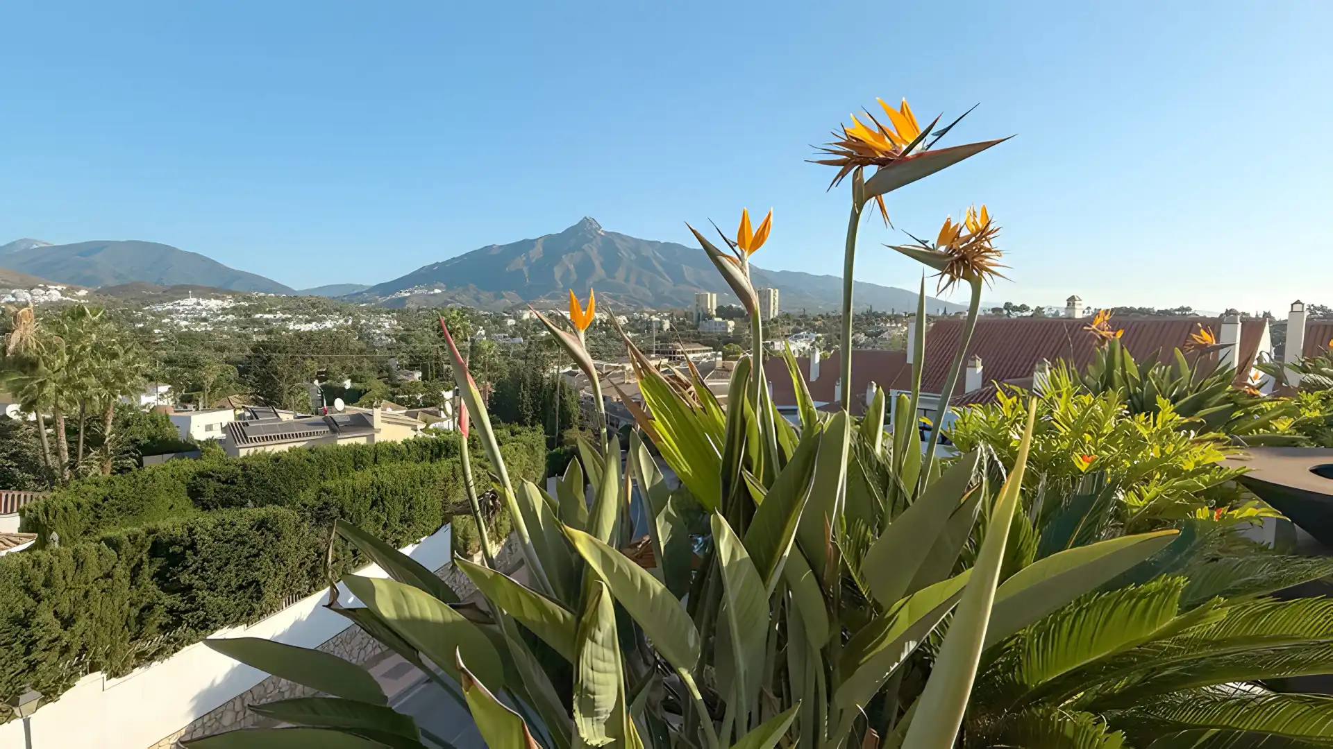 Ático con piscina en venta en Nueva Andalucía, imagen 2