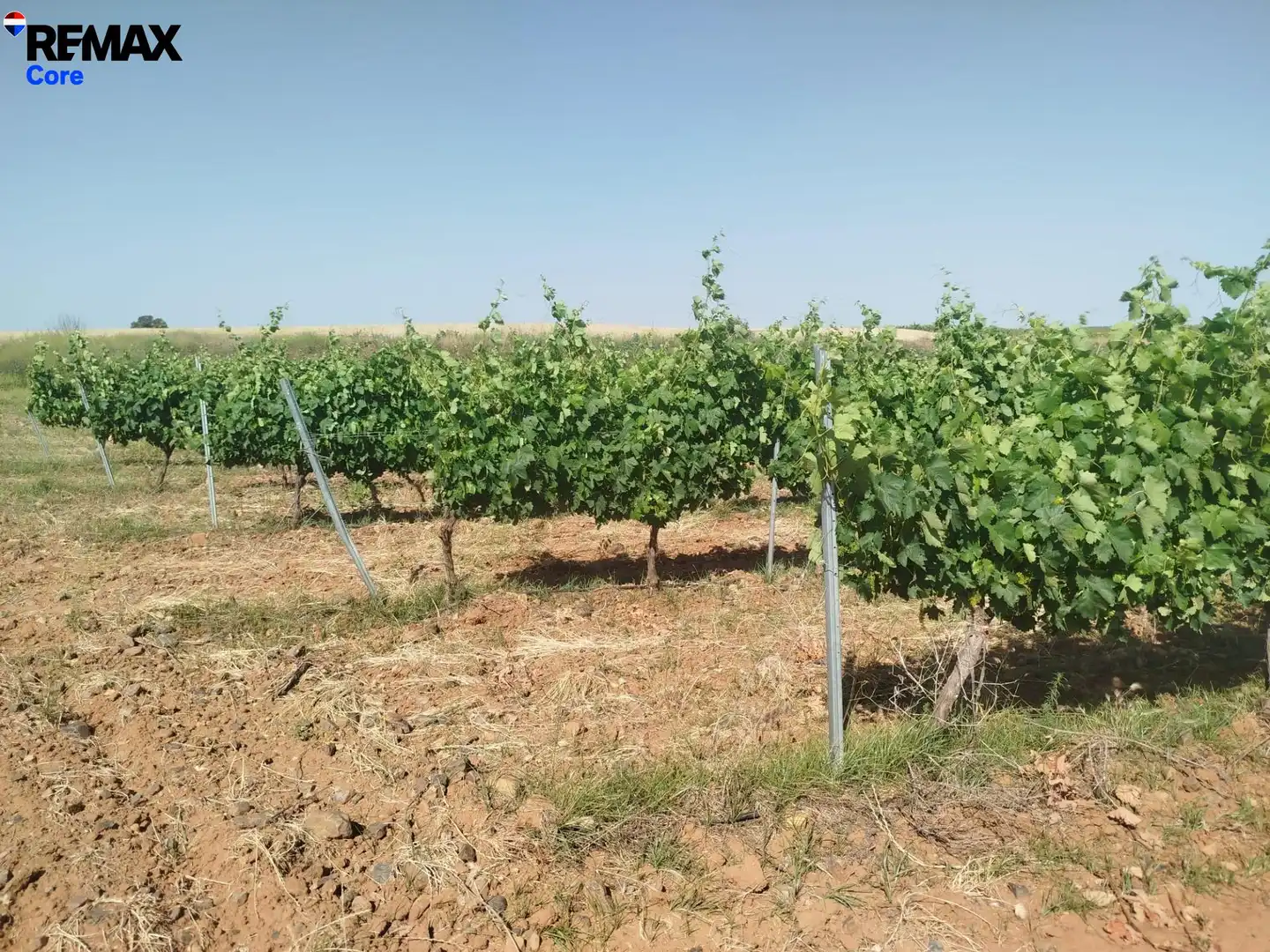 Terreni e lotti in vendita a Carretera de Sevilla - Los Montitos, imagen 3