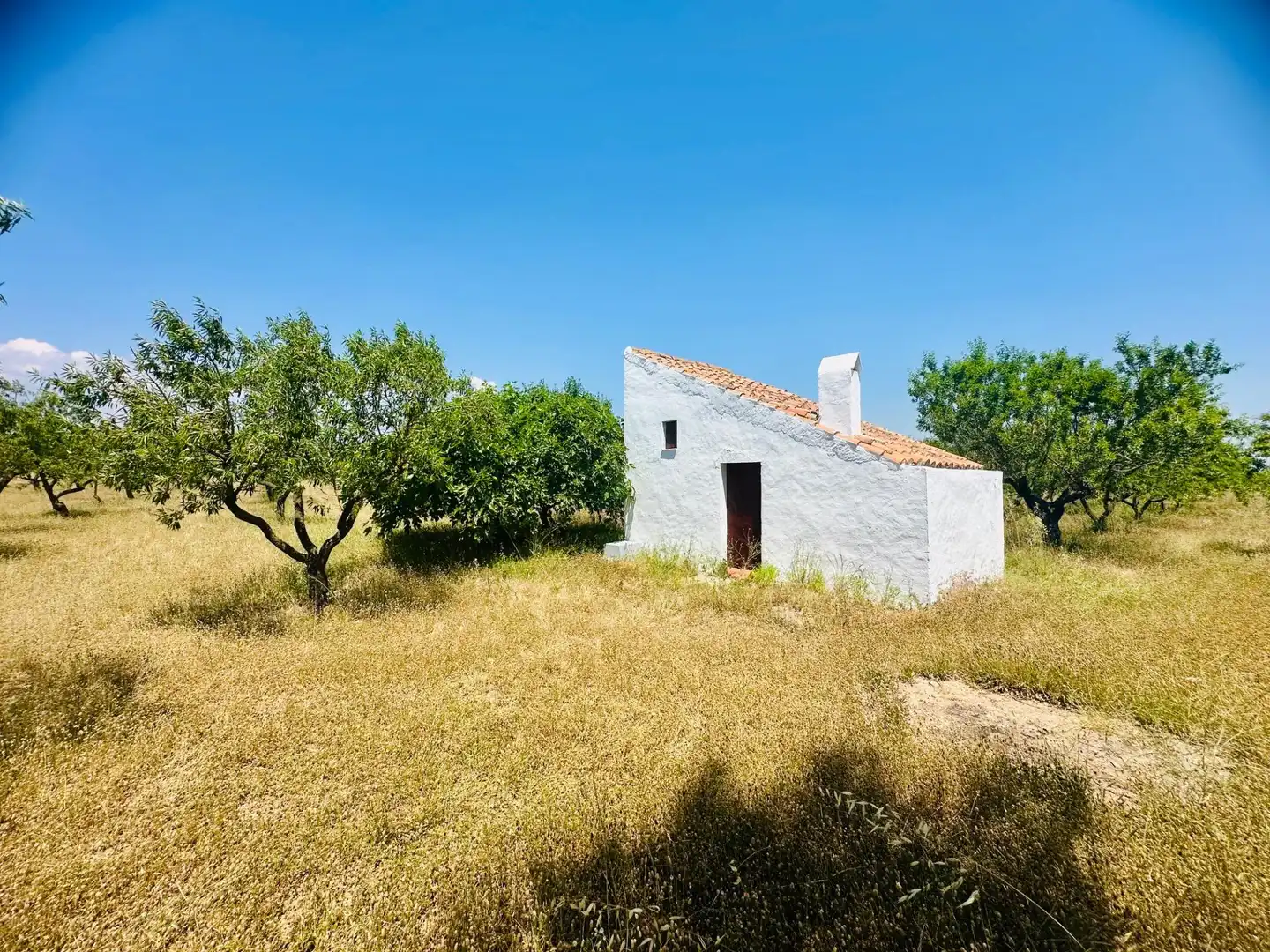 Casa o xalet en venda en Godall
