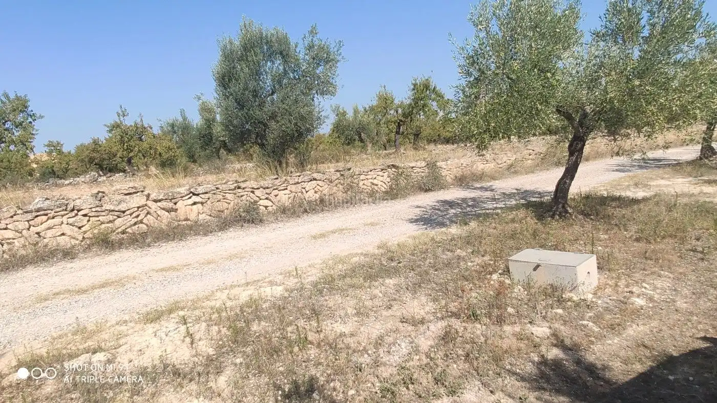 Rural land for sale in Carrer de la Muntanya 1, imagen 6
