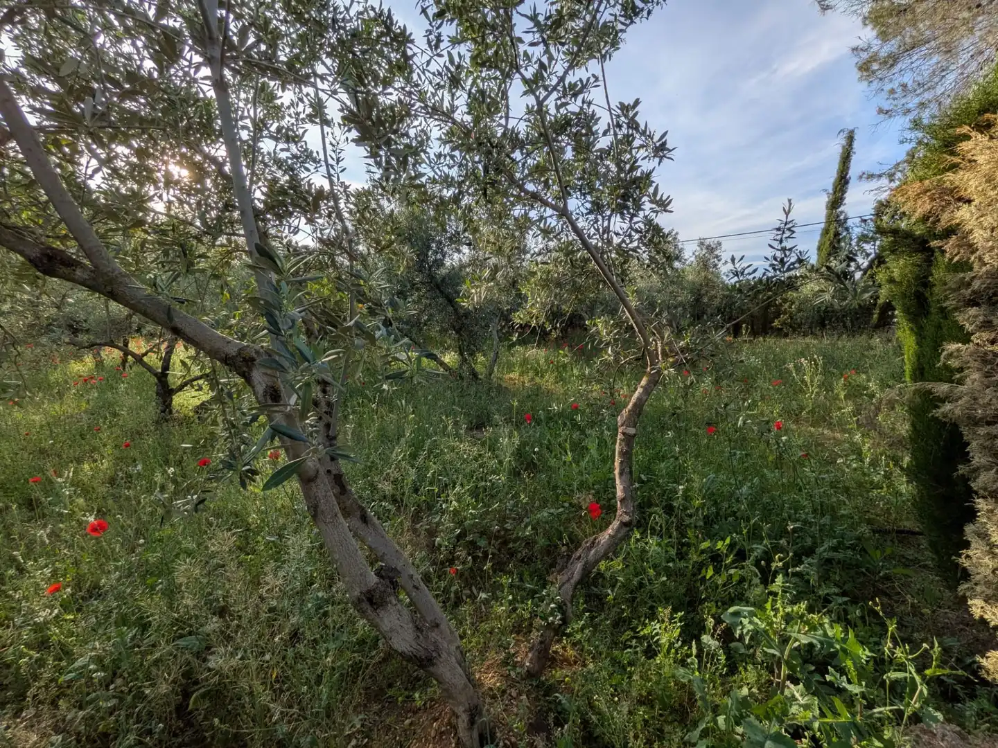 Finca rústica en venta en Miguelturra con Aire acondicionado, Calefacción y Jardín privado