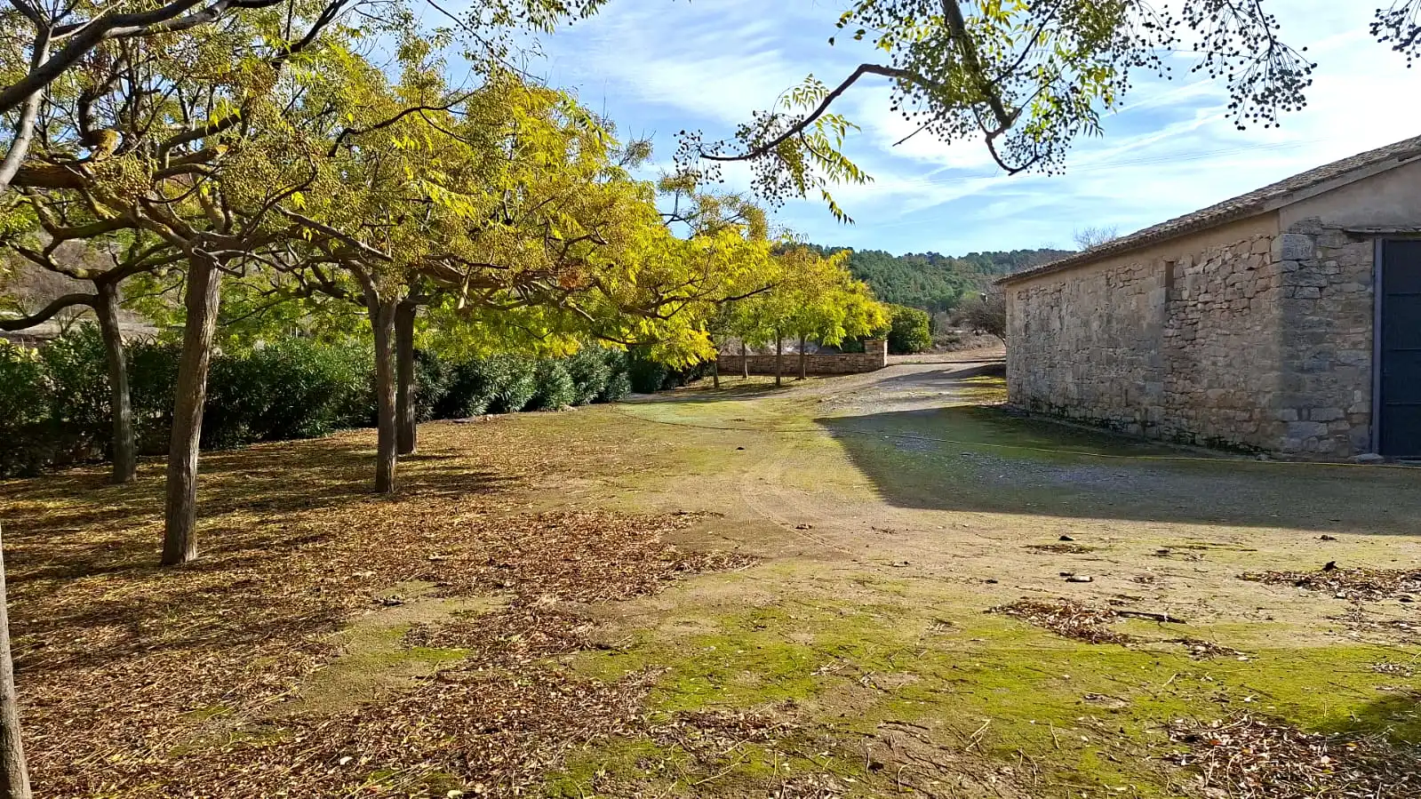 Terreno rústico en venta en Vallbona de Les Monges, imagen 2