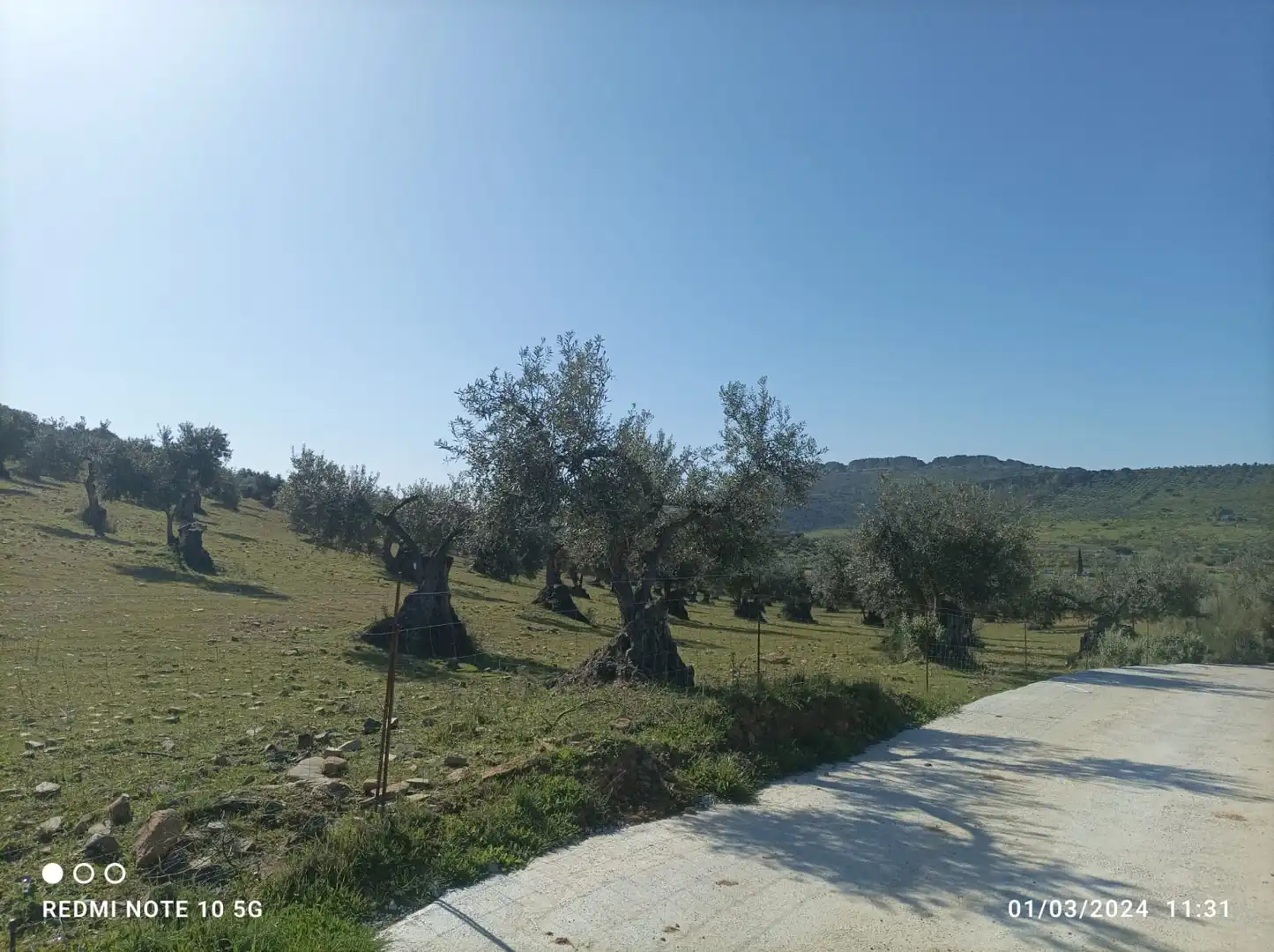 Terreni e lotti in vendita a Zafra, imagen 3