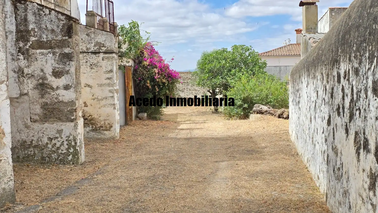 Vista exterior de Casa o xalet en venda en Brozas amb Jardí privat, Terrassa i Piscina