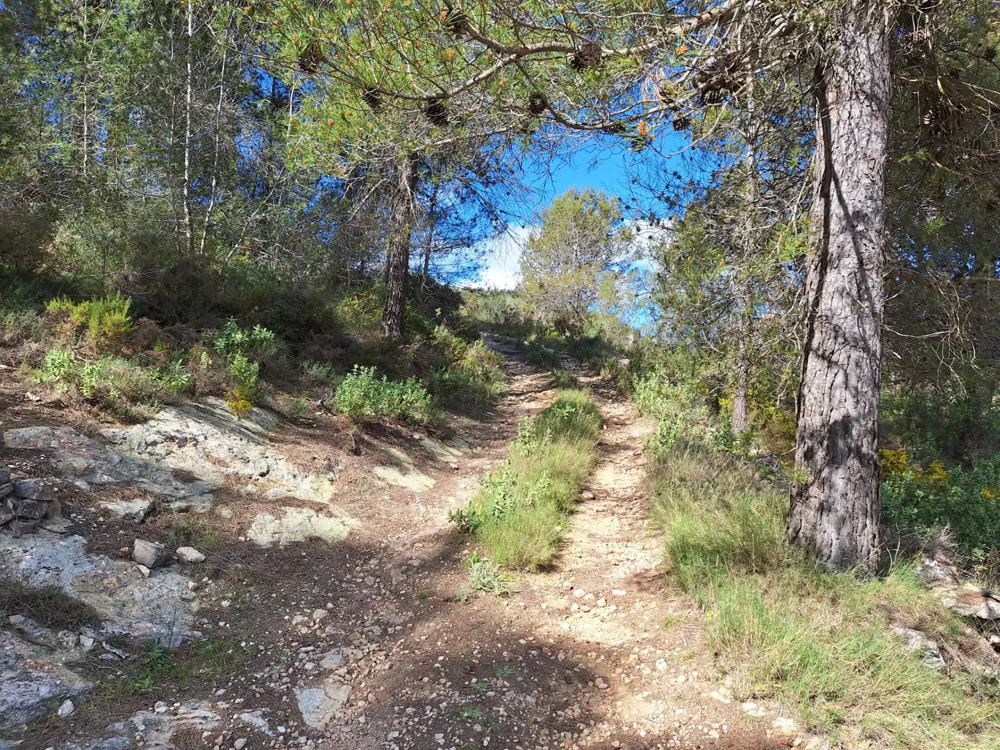 Finca rústica en venda en Alcoy / Alcoi amb Traster i Moblat