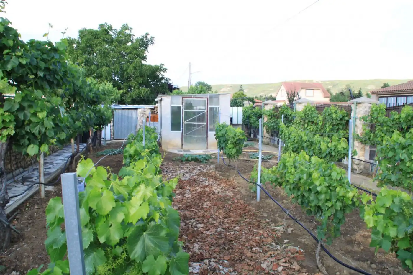 Jardín de Finca rústica en venta en Grijota con Terraza