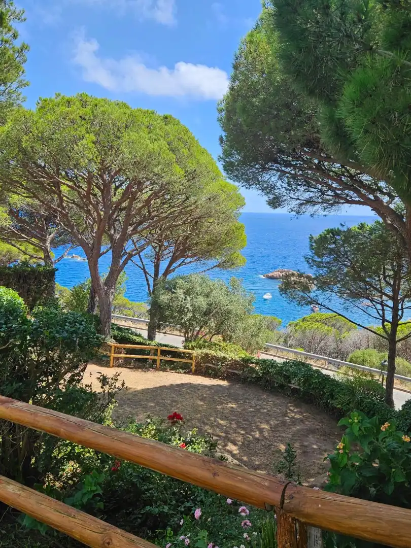 Apartment with lift for sale in Centre, imagen 4