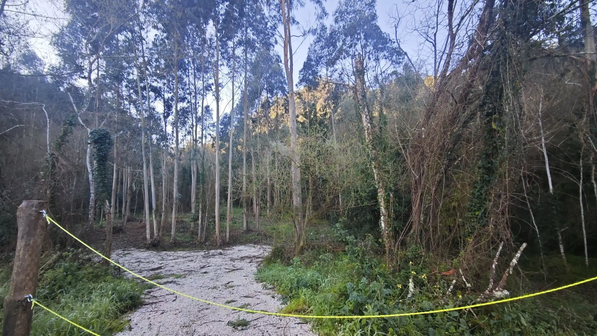 Terreno rustico in vendita a Pría - Nueva-Hontoria - Naves, imagen 23
