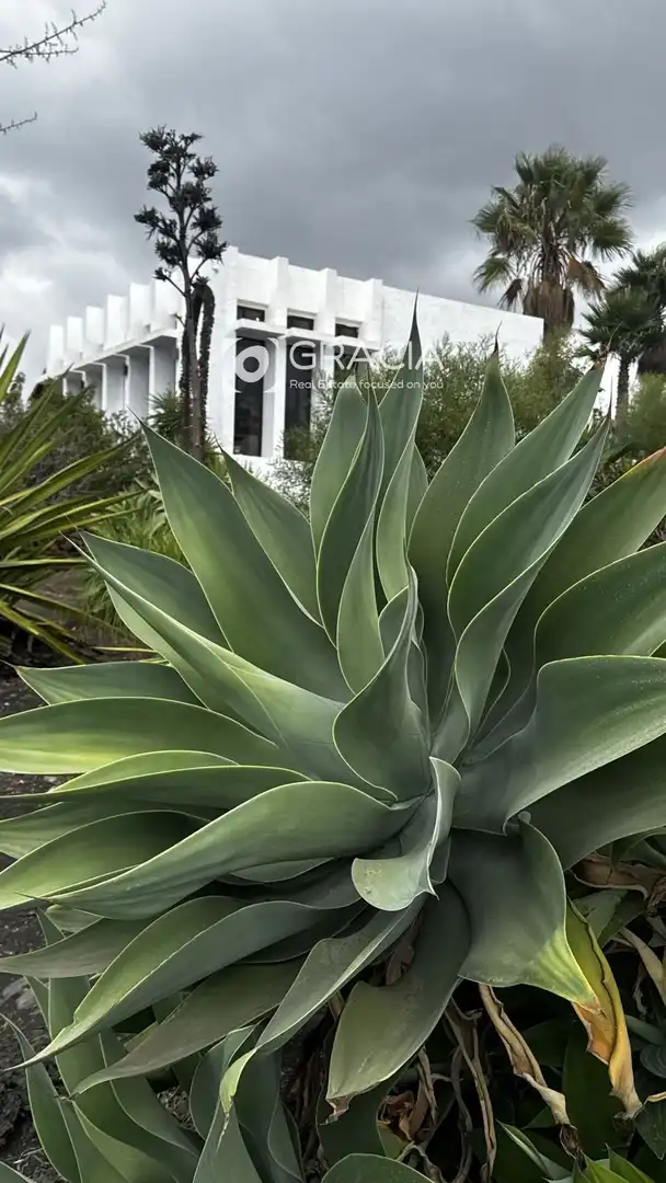 Jardín de Casa o chalet en venta en Tazacorte, Santa Cruz de Tenerife