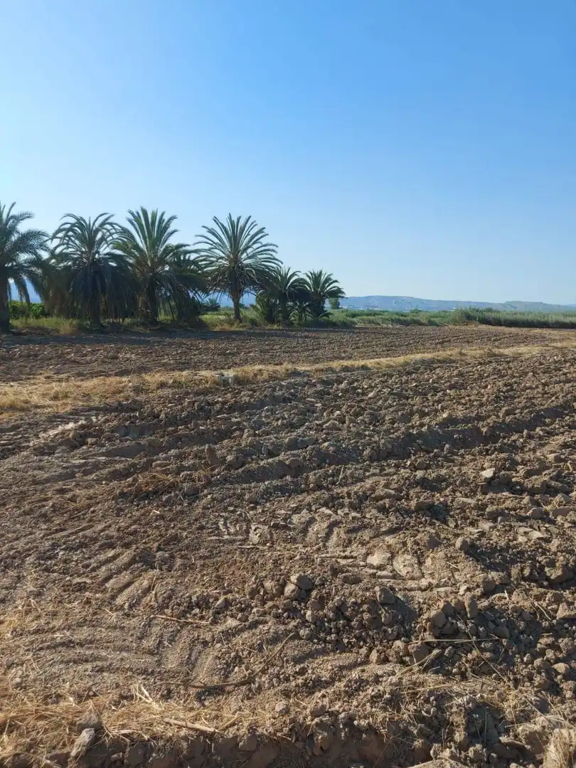 Residencial en venta en Catral