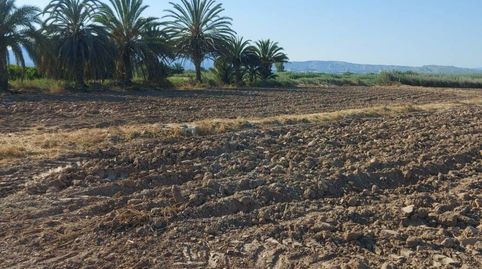 Foto 3 de Residencial en venta en Cam. del Hondo, Catral, Alicante