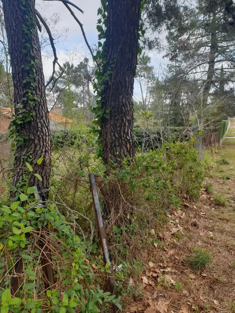 Residential land for sale in Avenida San Sebastián, imagen 4