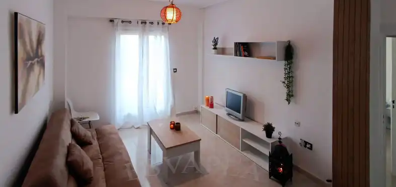 Living room of Flat for rent in Alicante / Alacant  with Furnished, Washing machine and Balcony