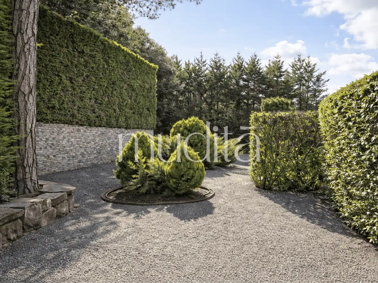 Jardín de Casa o chalet en venta en Seva con Calefacción, Jardín privado y Terraza