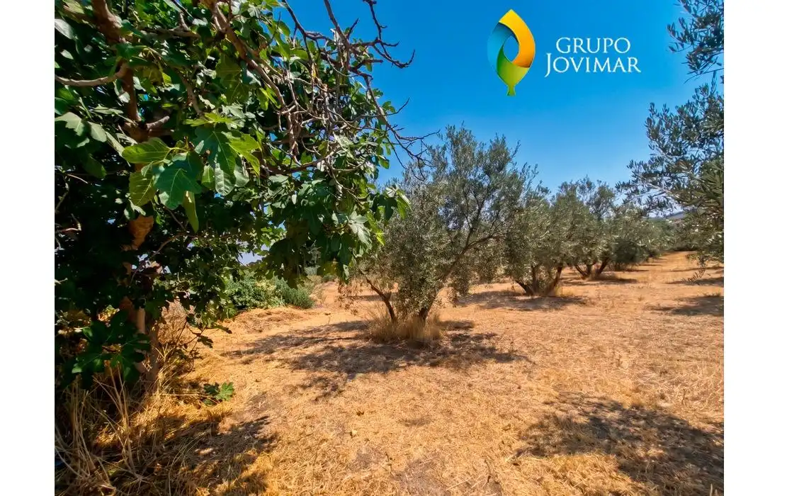 Casa o chalet en venta en Guadix con Calefacción, Piscina y Amueblado
