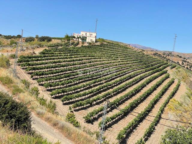 Finca rústica en Venta en Lobras