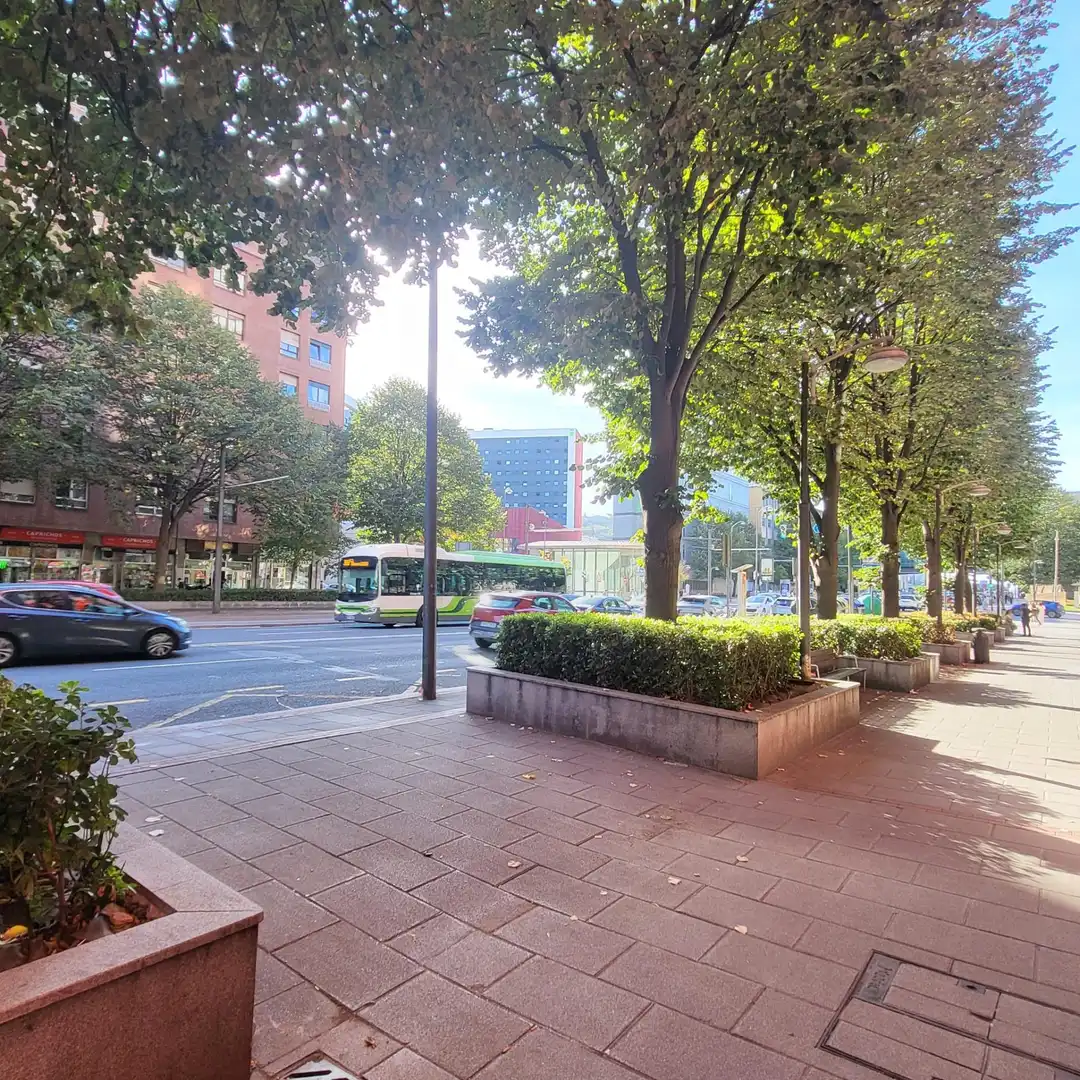 Penthouse with lift for sale in Avenida JUAN ANTONIO ZUNZUNEGUI, imagen 16