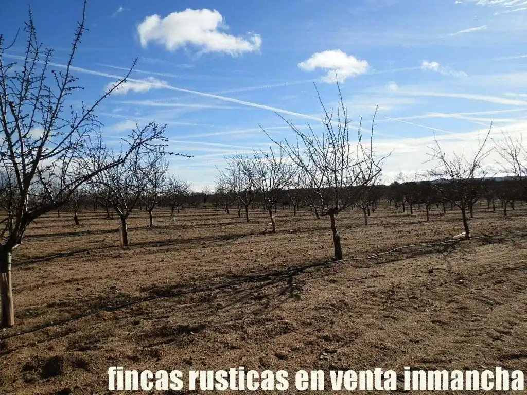 Terreno en venta en Mora
