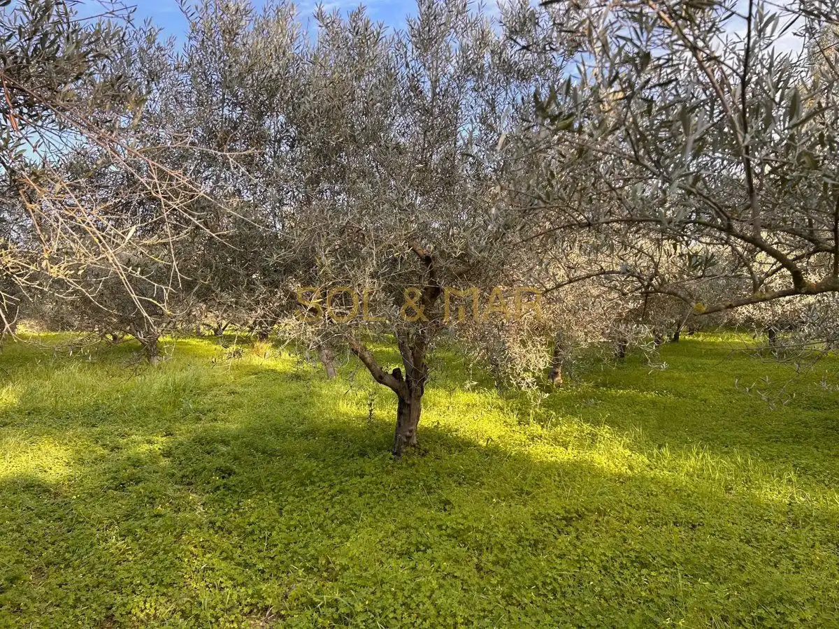 Finca rústica en venta en Cártama con Terraza