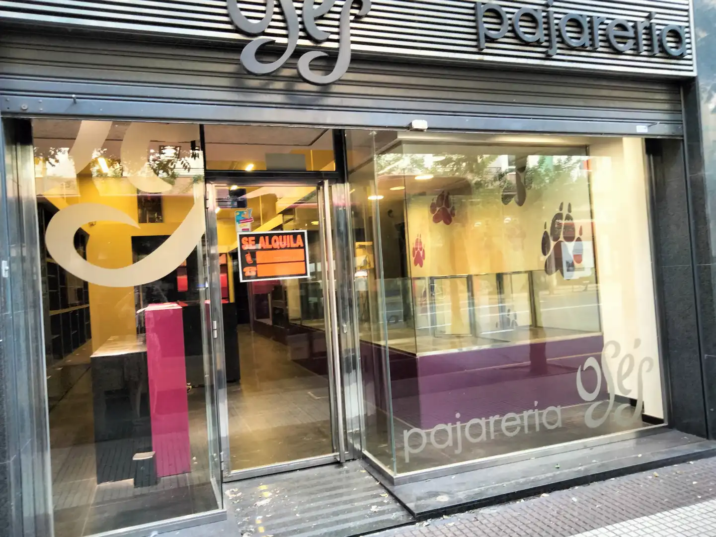 Business premises to rent in Centro