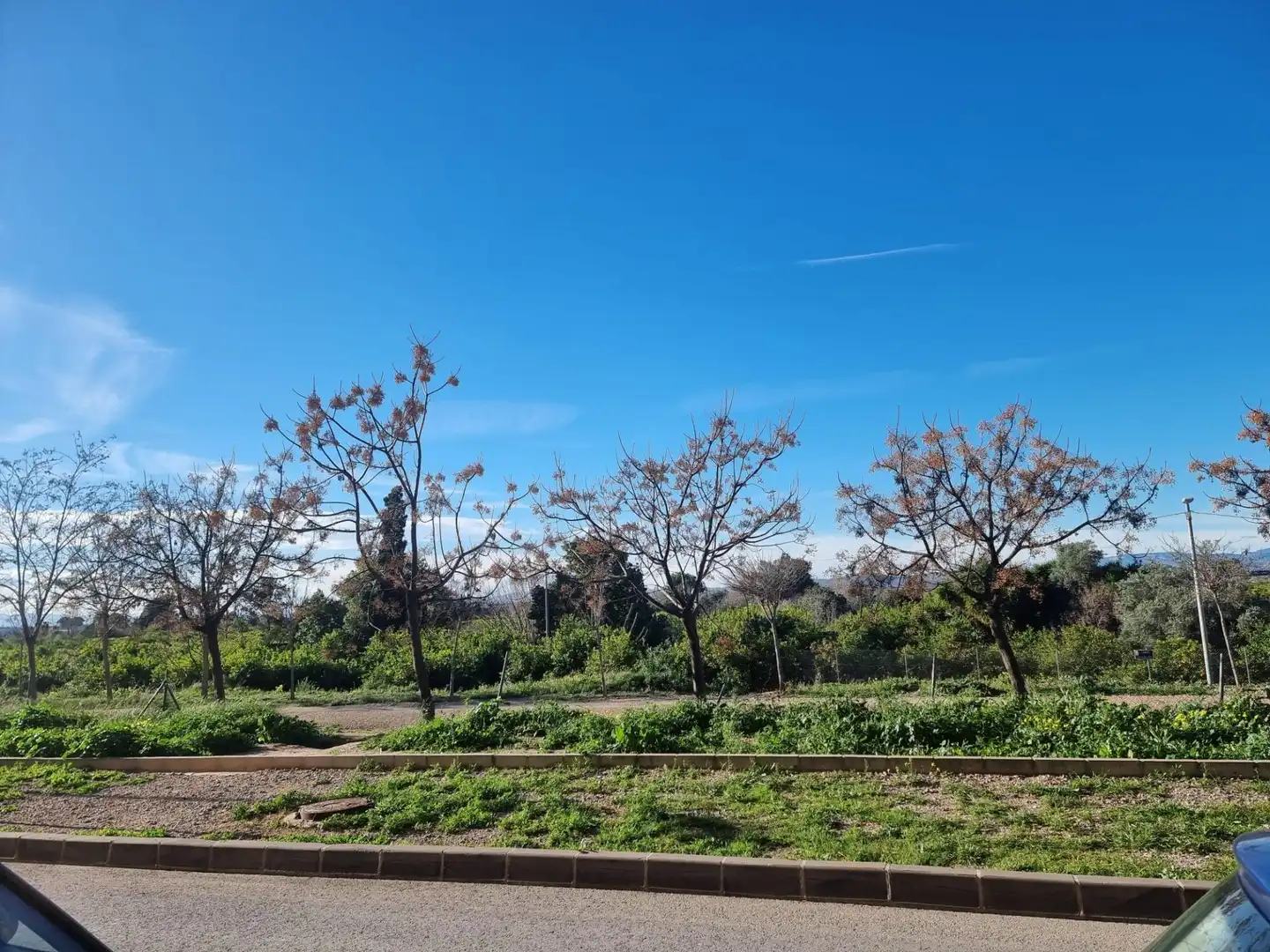 Appartement avec terrasse à vendre à Pedanías Este, imagen 21
