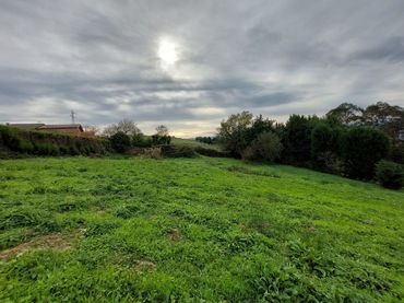 Terreny residencial en venda a la Cotariella