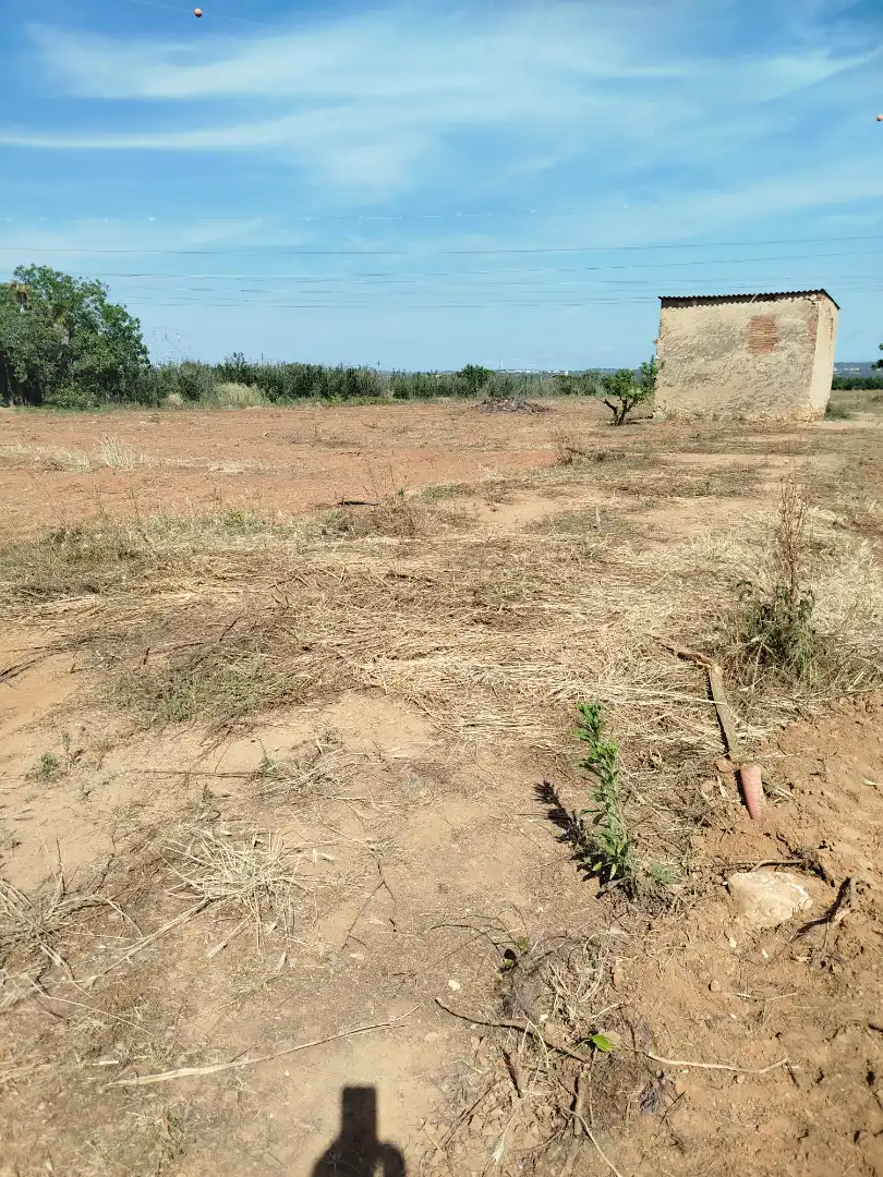 Land for sale in Vilallonga del Camp