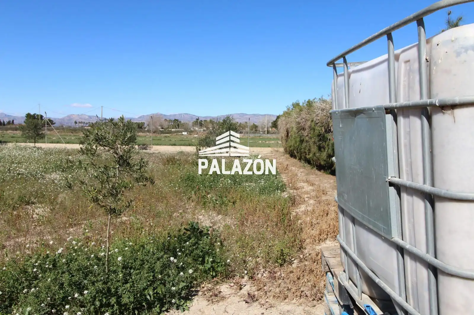 Chalet en venta en Dolores, imagen 38