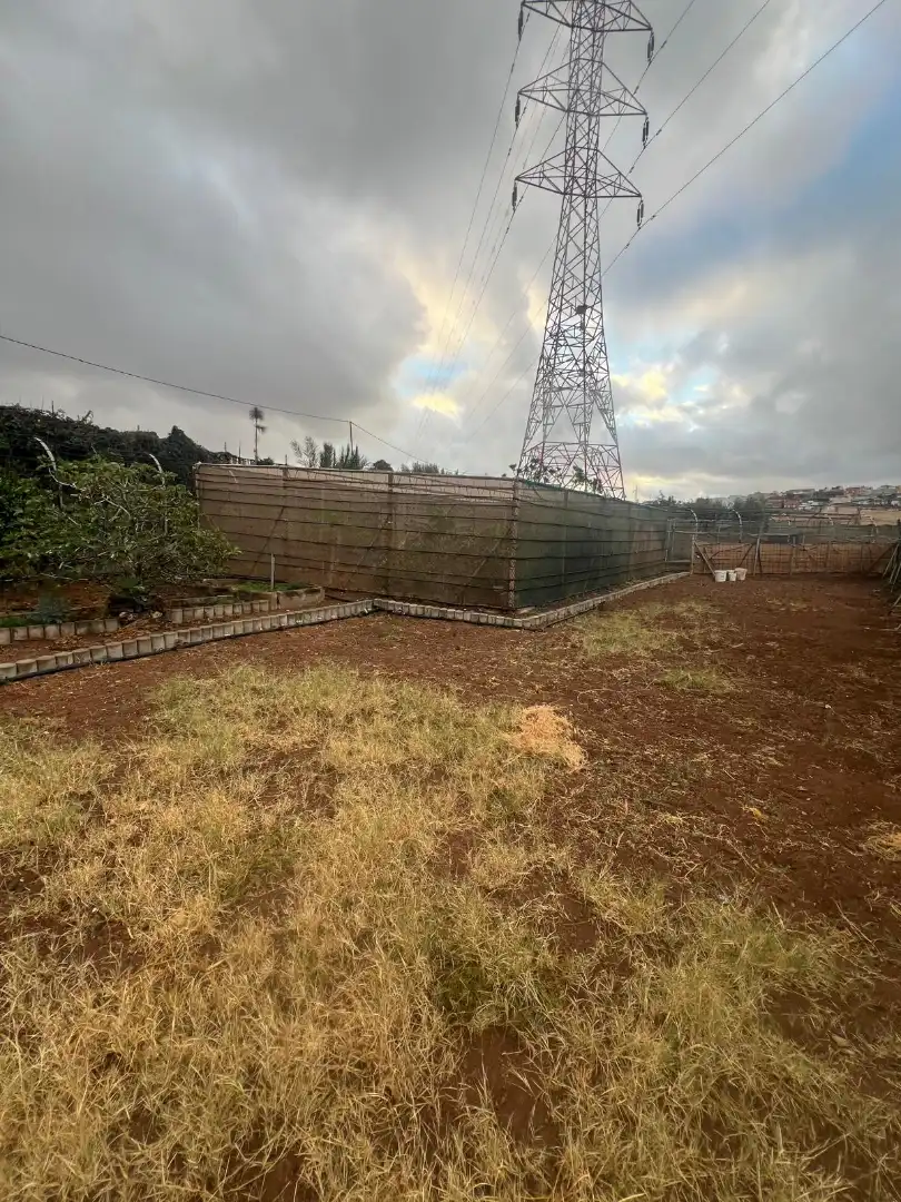 Rural land for sale in Ingenio pueblo, imagen 5