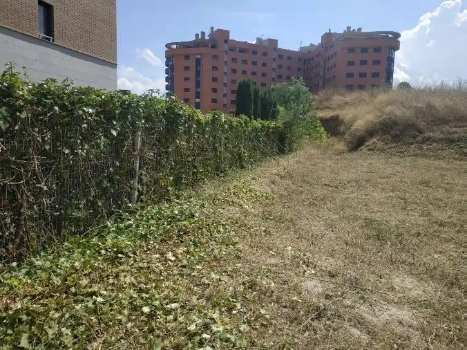Terreny rústic en venda a Av Tirant Lo Blanc, imagen 8