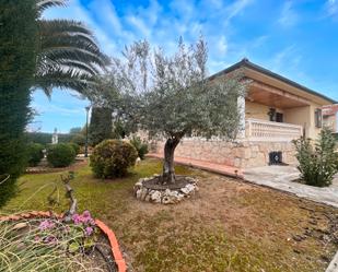 Jardí de Casa o xalet en venda en Paracuellos de Jarama amb Calefacció, Jardí privat i Terrassa