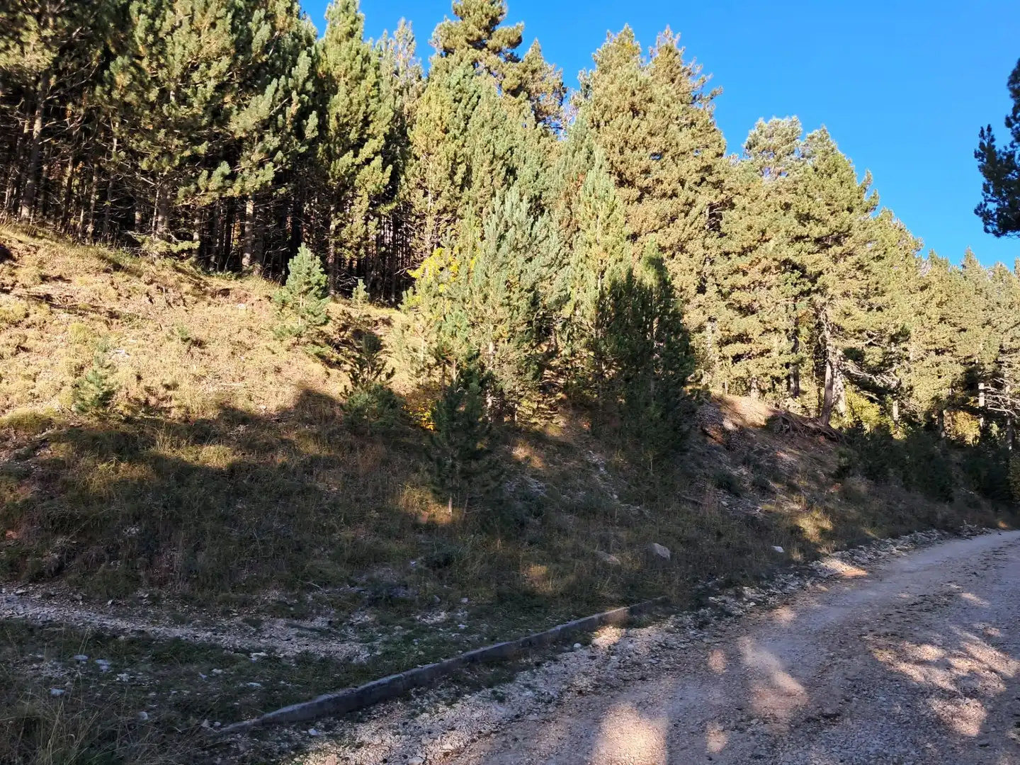 Residential zum Verkauf in La Coma i la Pedra