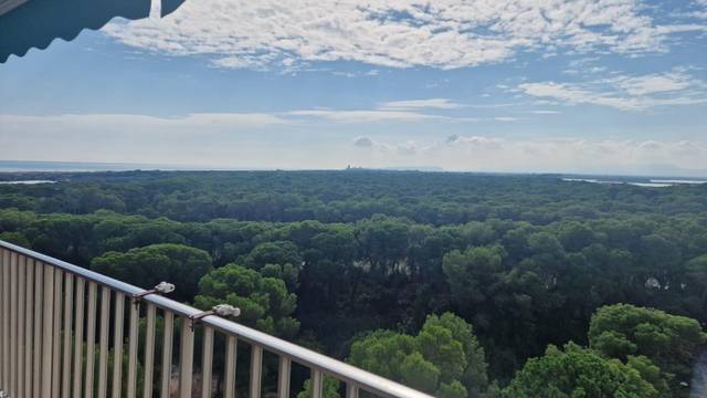 Piso en Alquiler en El Saler