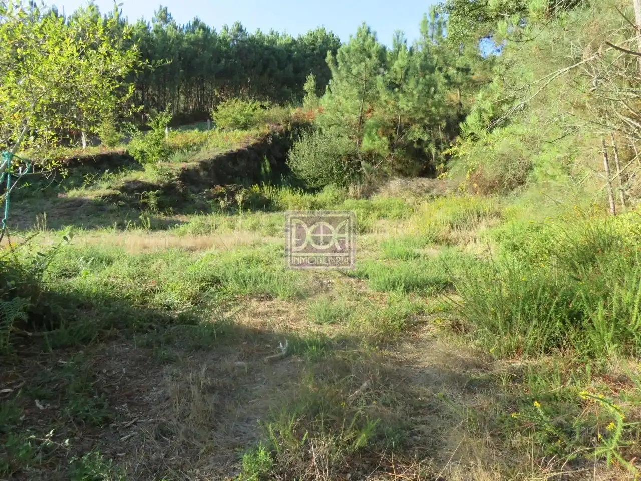 Lands and plots for sale in Mondariz, imagen 6