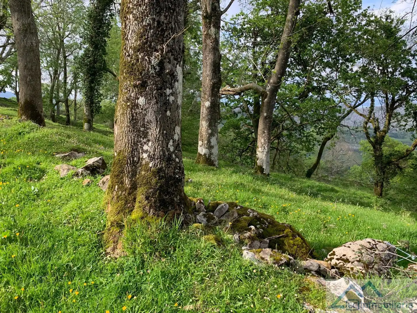 Garten von Residential zum Verkauf in Liérganes
