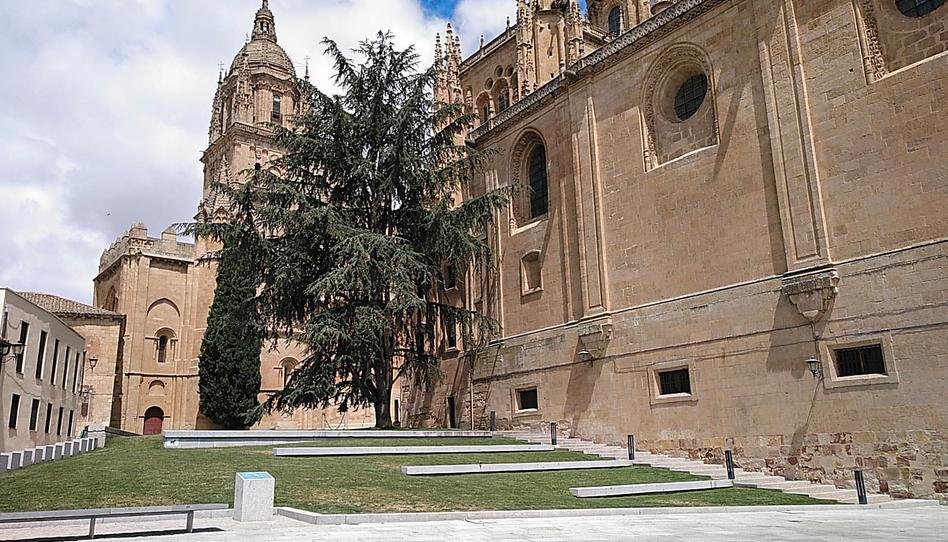 Photo 1 of House or chalet for sale in Calle Doyagüe, Universidad - Tenerías, Salamanca