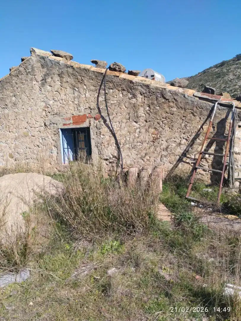 Vista exterior de Finca rústica en venda en Llucena / Lucena del Cid