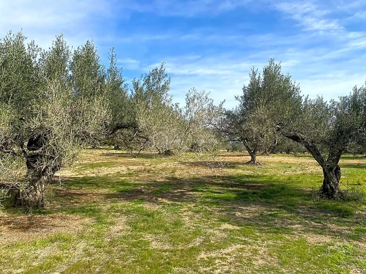 Terreno rustico in vendita a Planas, imagen 4