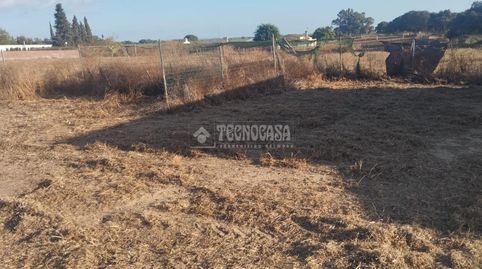 Foto 3 de Finca rústica en venda a Aznalcázar, Sevilla