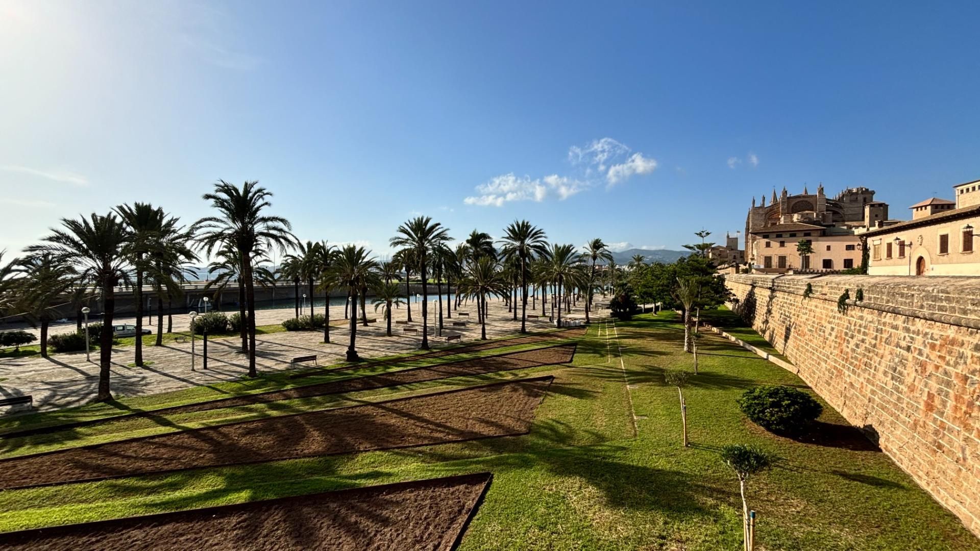 Jardí de Pis en venda en  Palma de Mallorca amb Aire condicionat, Parquet i Balcó