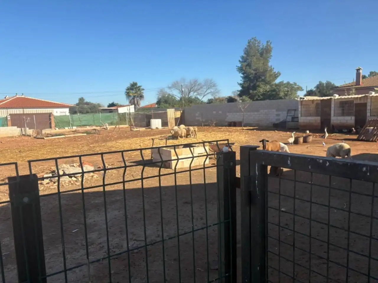 Casa o chalet en venta en Urbanizacion Nietos, Carmona