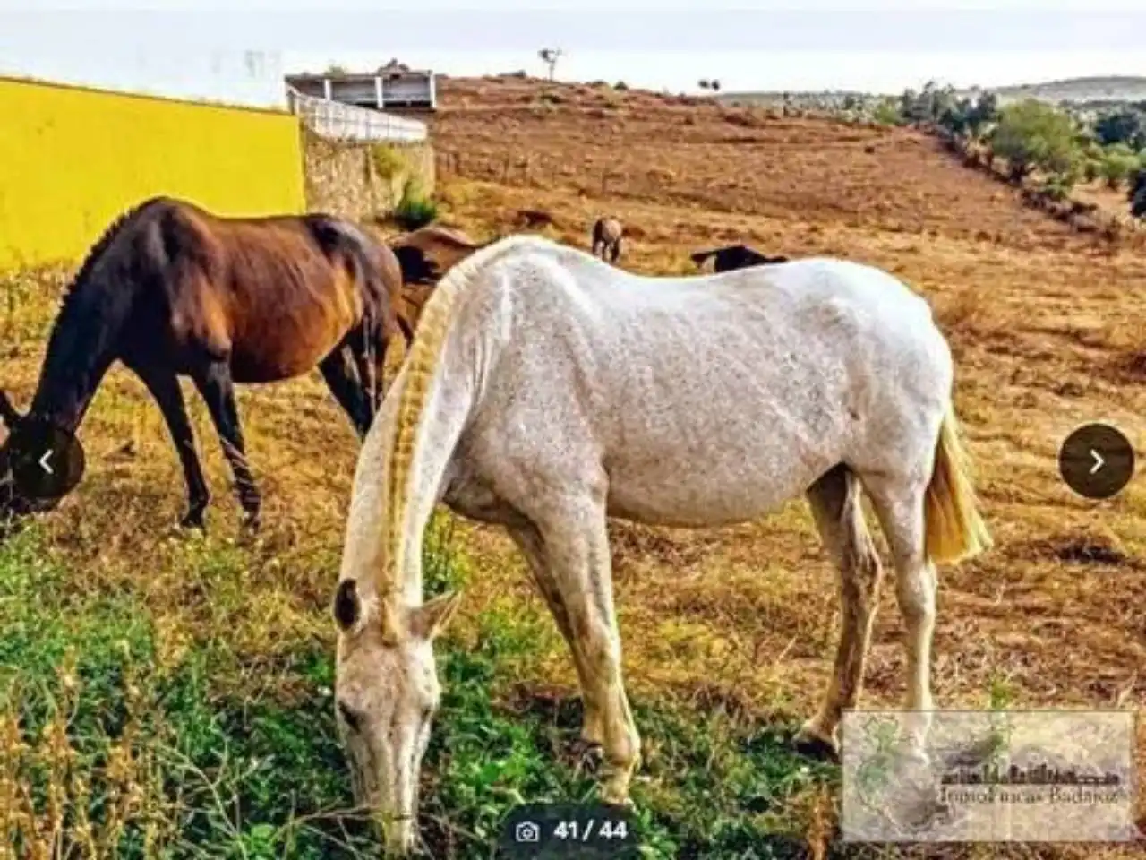 Vista exterior de Finca rústica en venta en Higuera de Vargas con Aire acondicionado, Jardín privado y Terraza