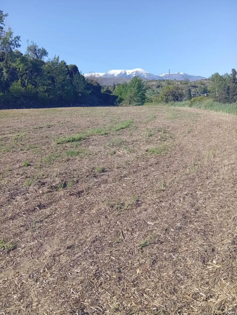 Rural land for sale in Tarazona, imagen 6