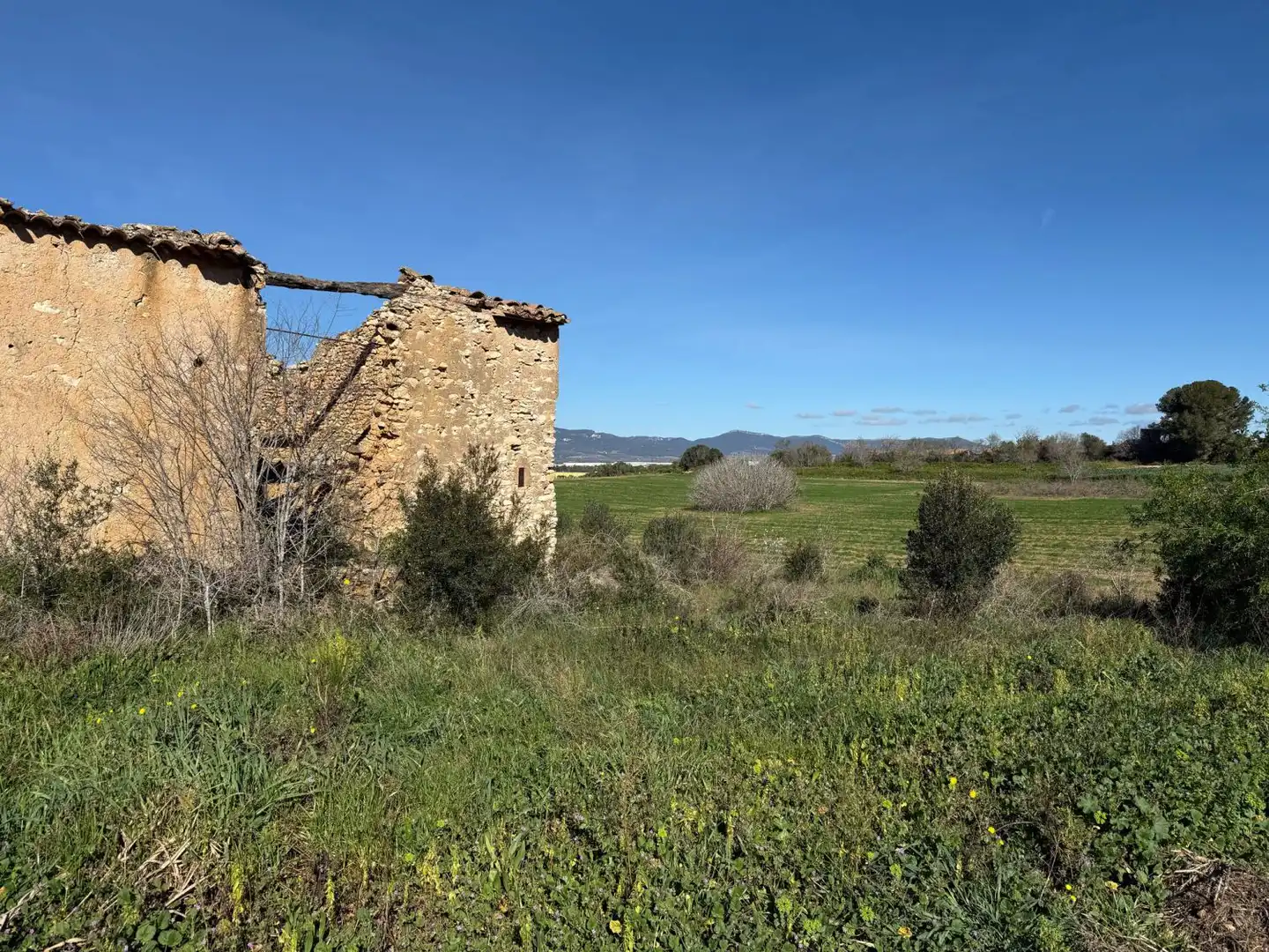 Finca rústica en venda a Puigpelat