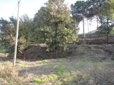 Terrain rustique à vendre à C/ St Antoni, imagen 8