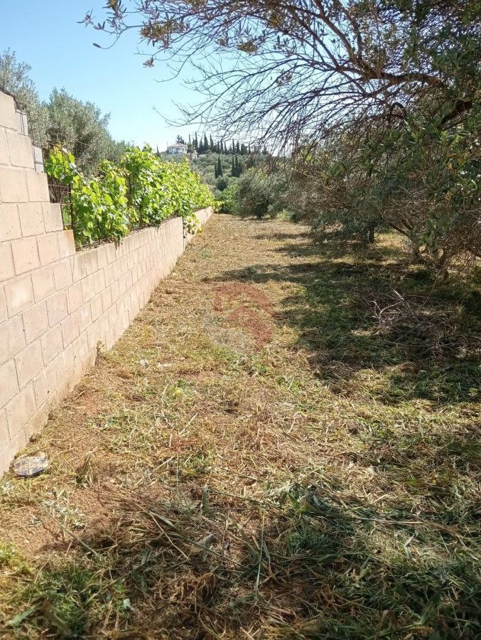 Land for sale in Alhaurín de la Torre